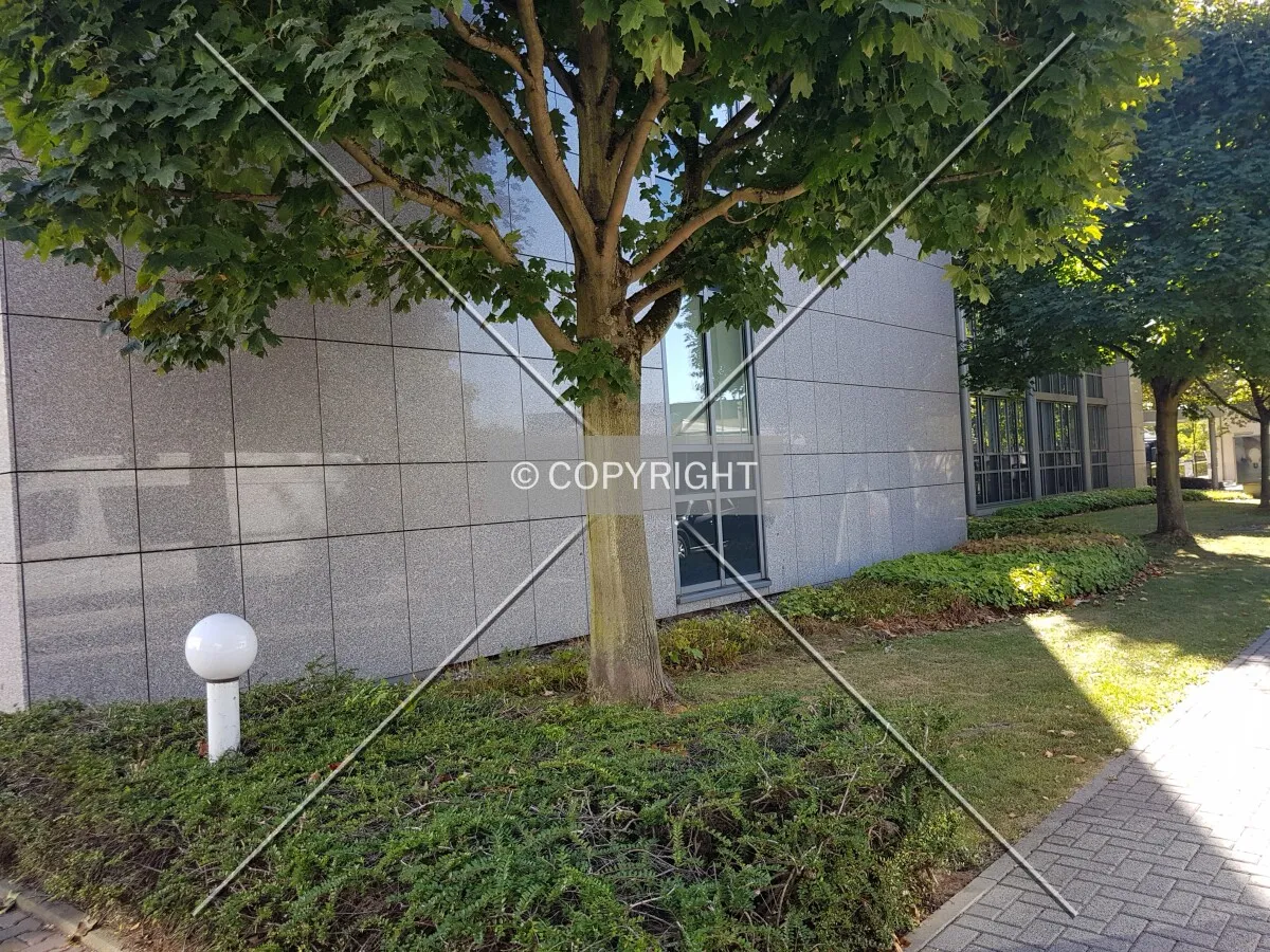 Photo 735-253-746