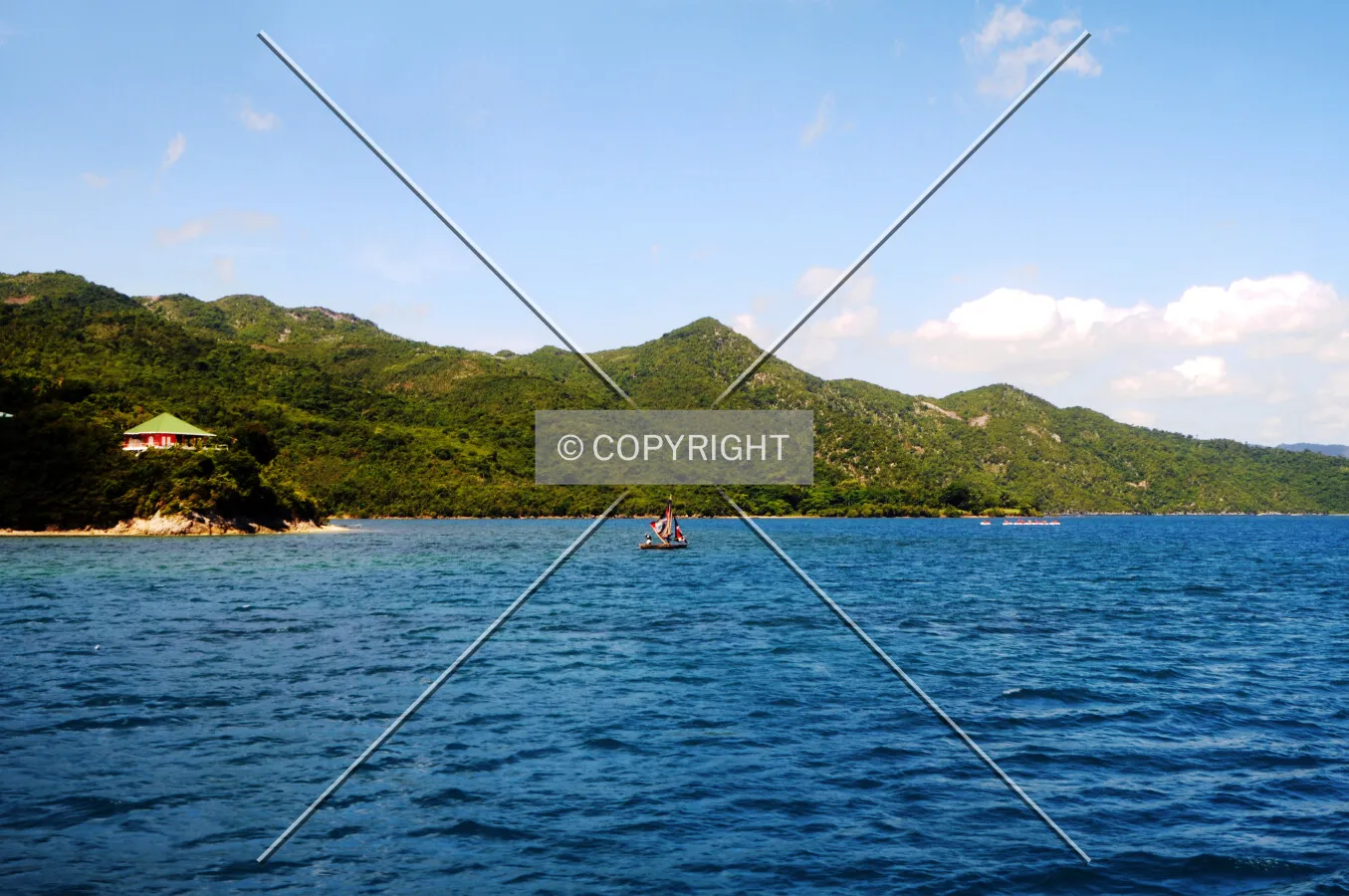 Photo 735-728-460