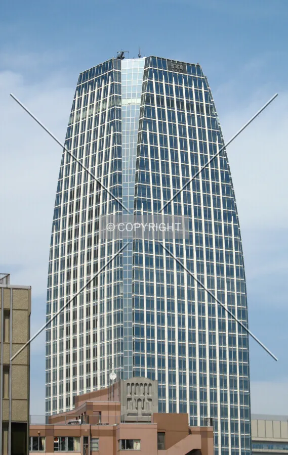 View from the southeast