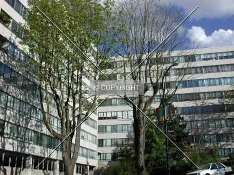 View to the south