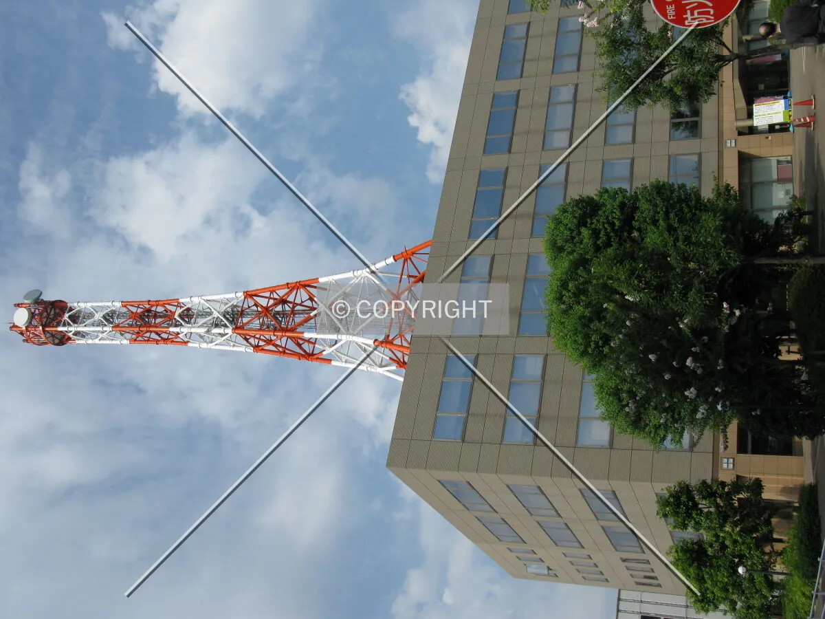 Photo 735-925-084