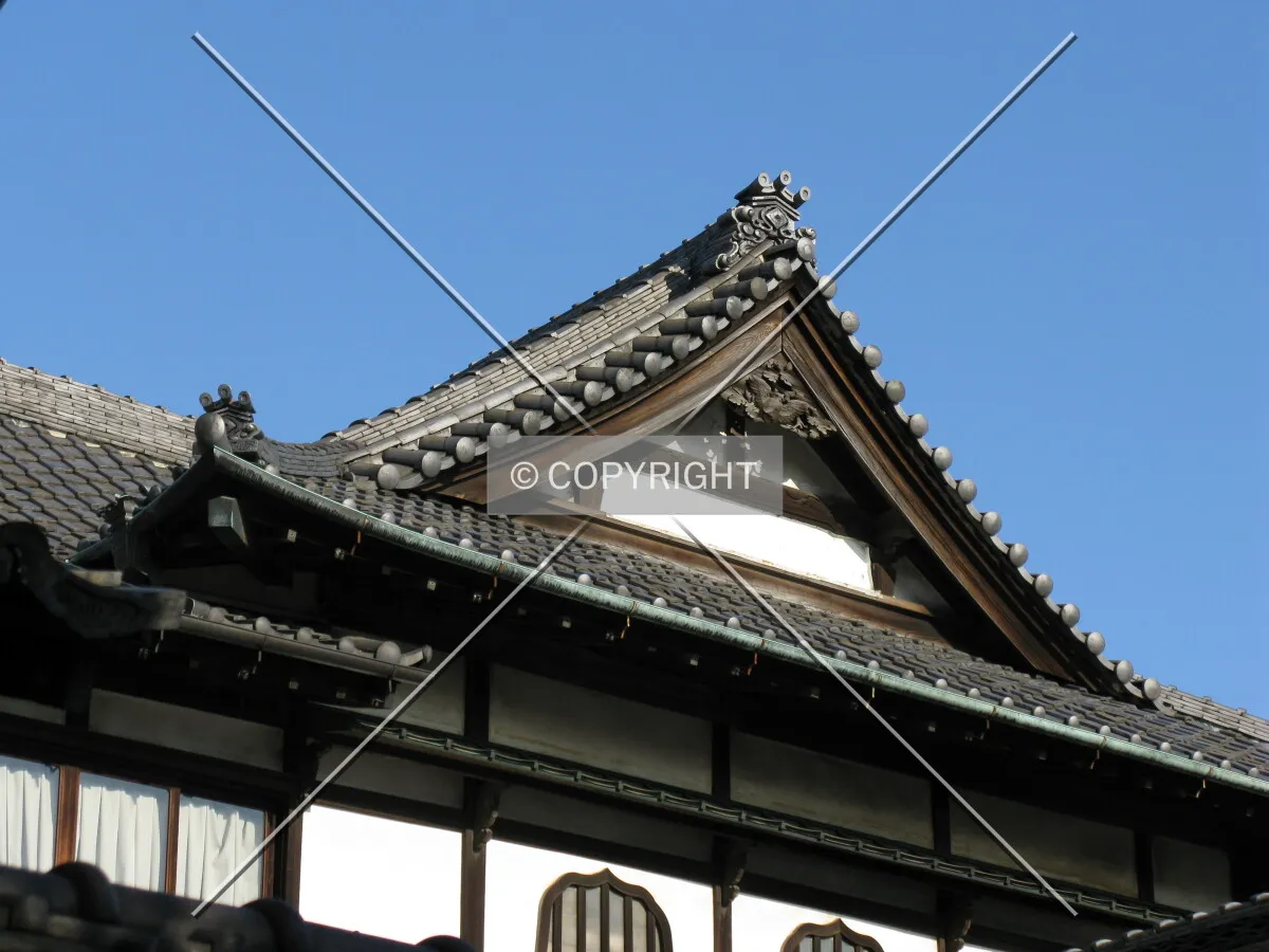 Photo 736-224-916