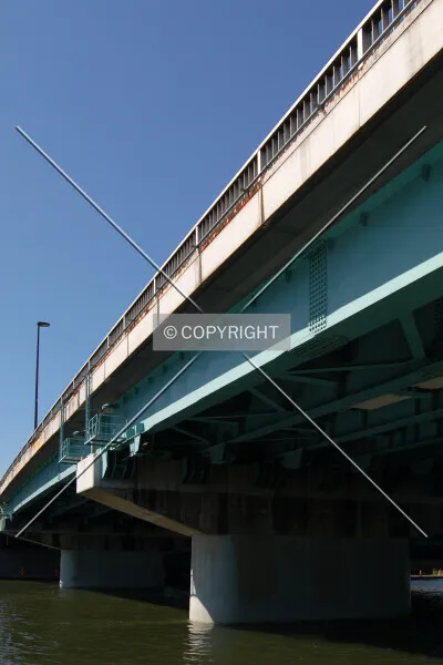 Photo 736-469-619