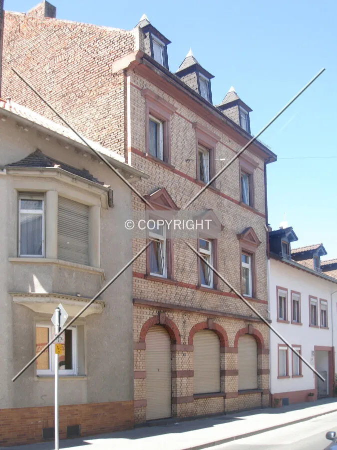 Photo 736-677-878