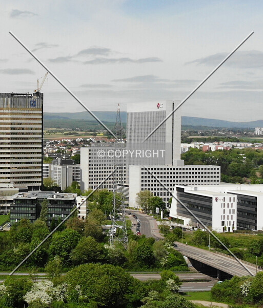 Photo 736-681-785