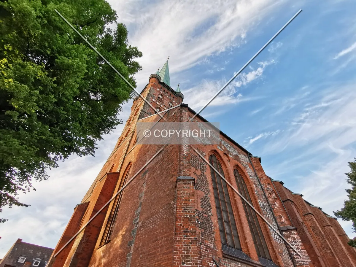 Photo 736-737-308