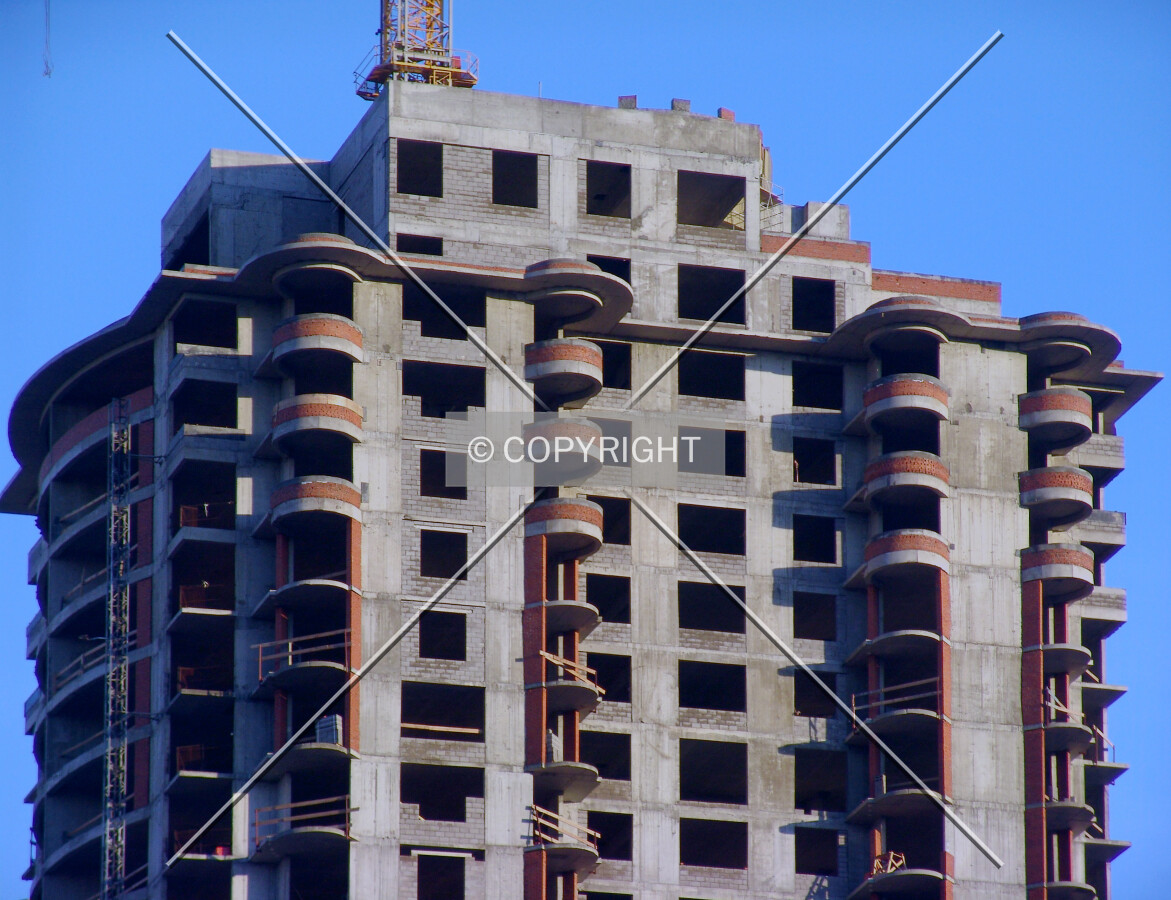 Photo 736-902-985
