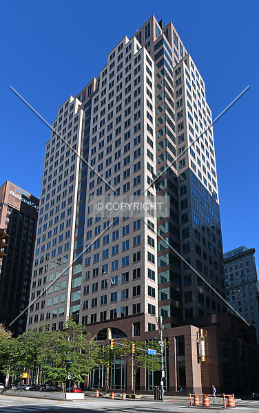 Photo 736-994-141