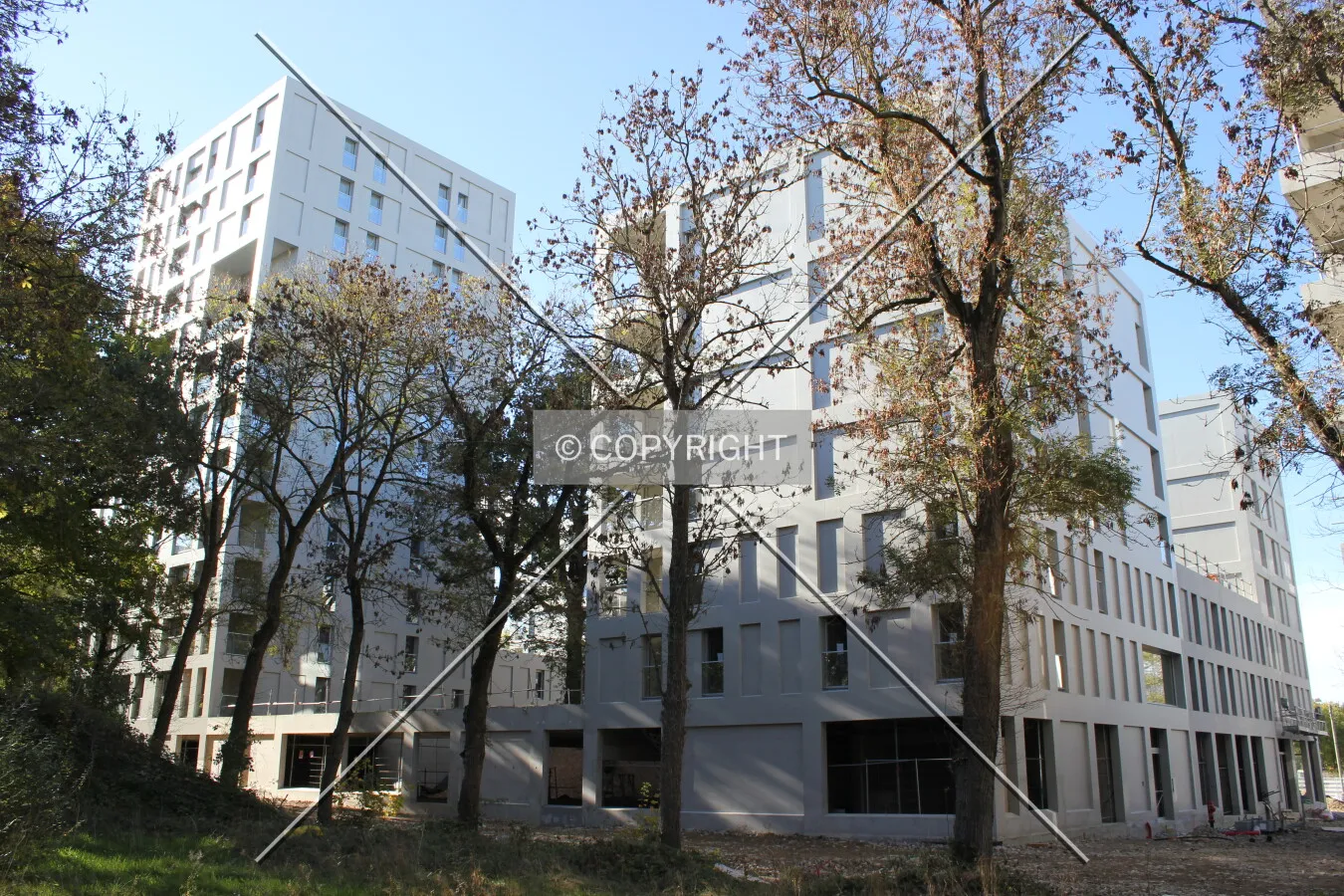 Photo 737-169-025