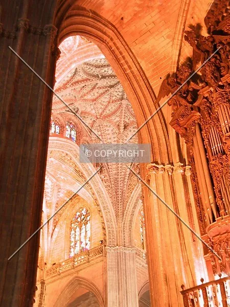Photo 073-732-068