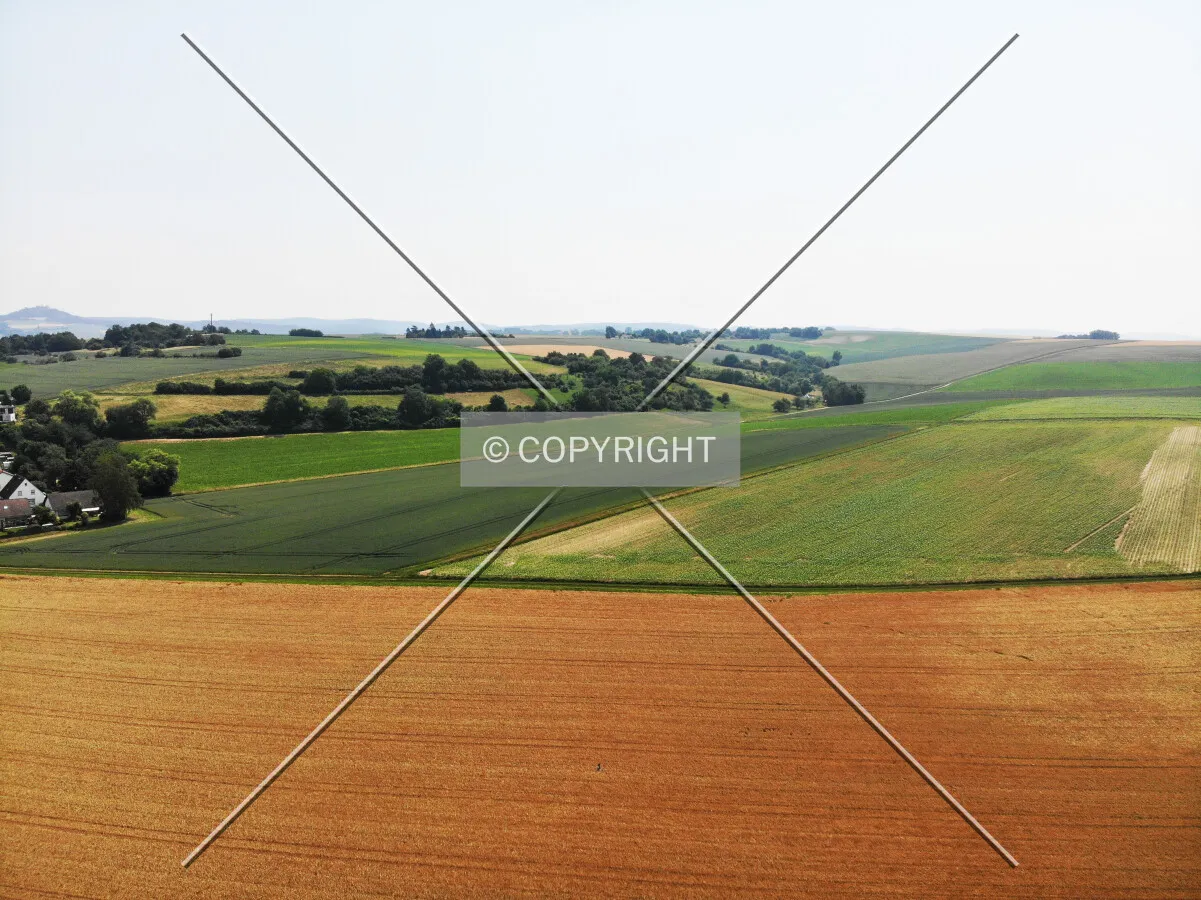 Fields in the summer time