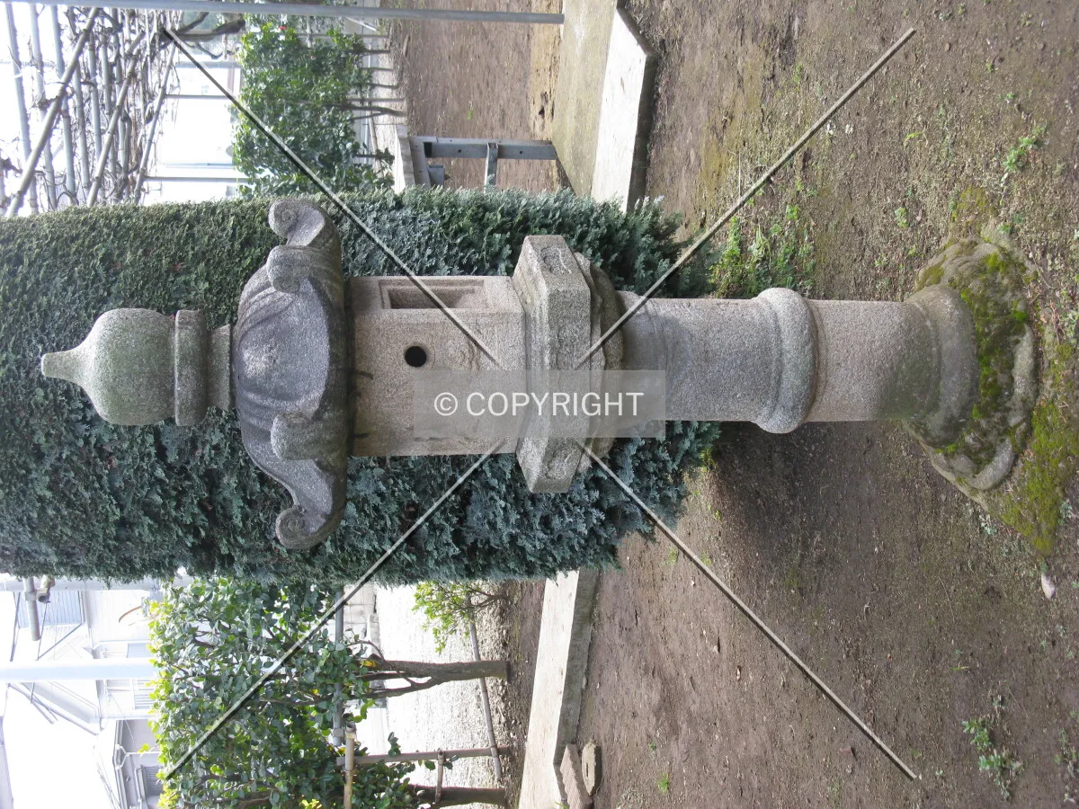 Photo 737-660-842