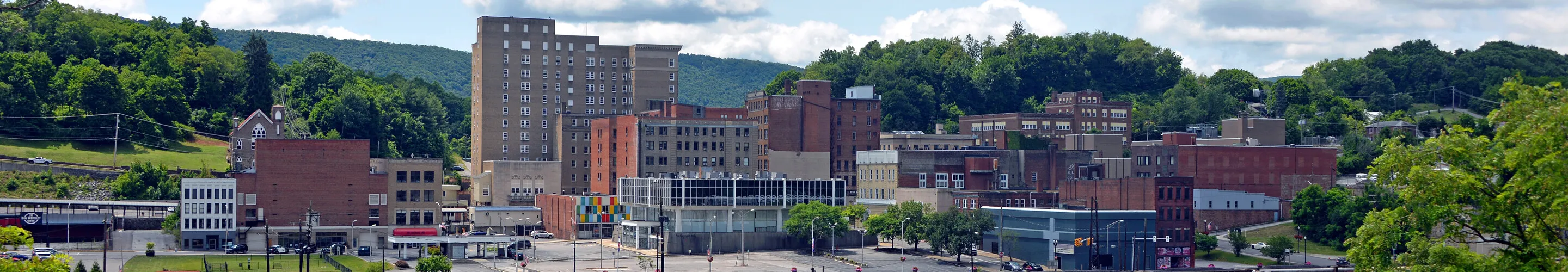 Downtown from the north