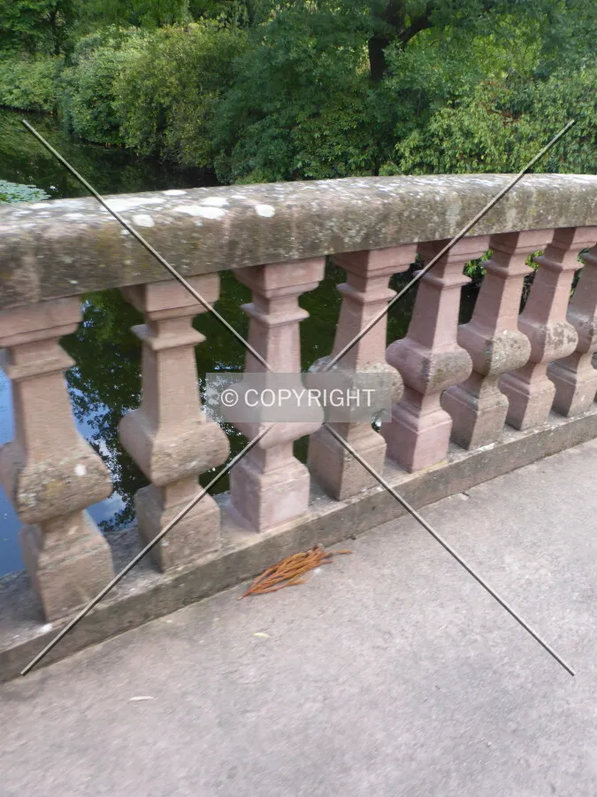 Photo 739-217-923