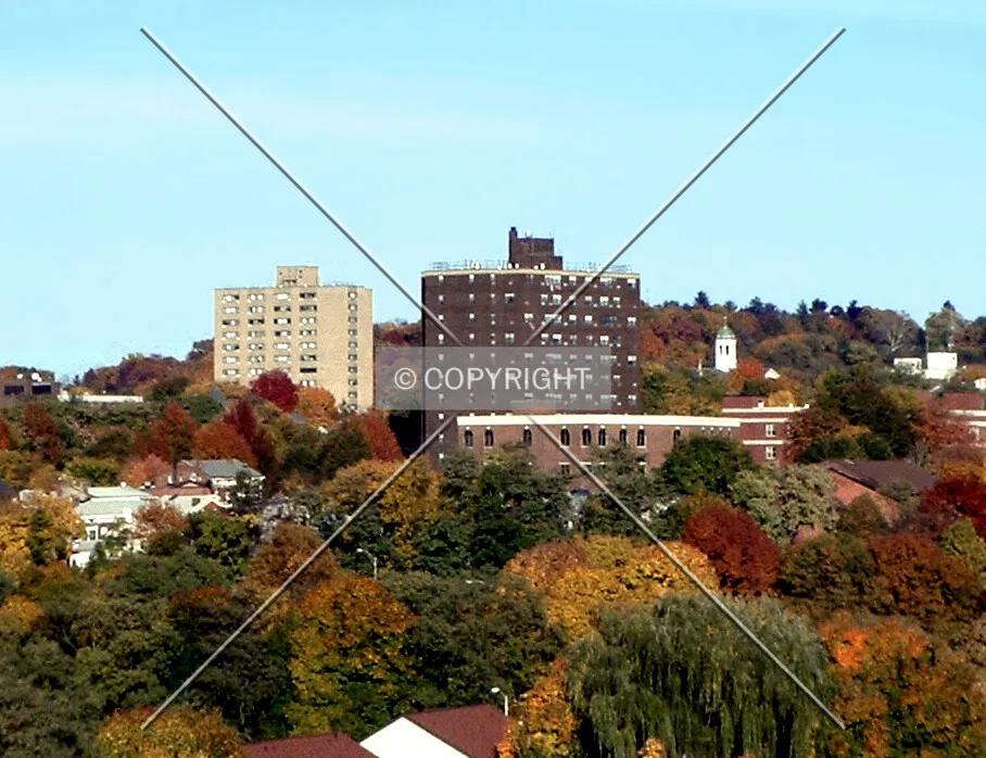View from the southwest
