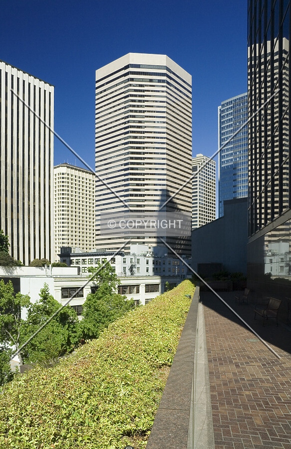View from the south
