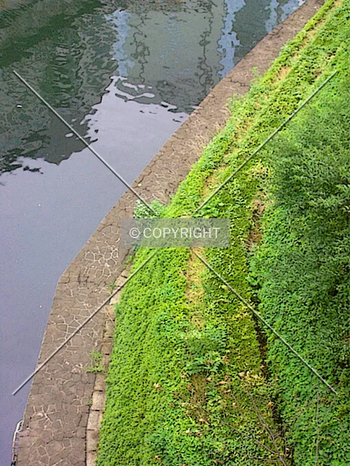 Photo 739-603-026