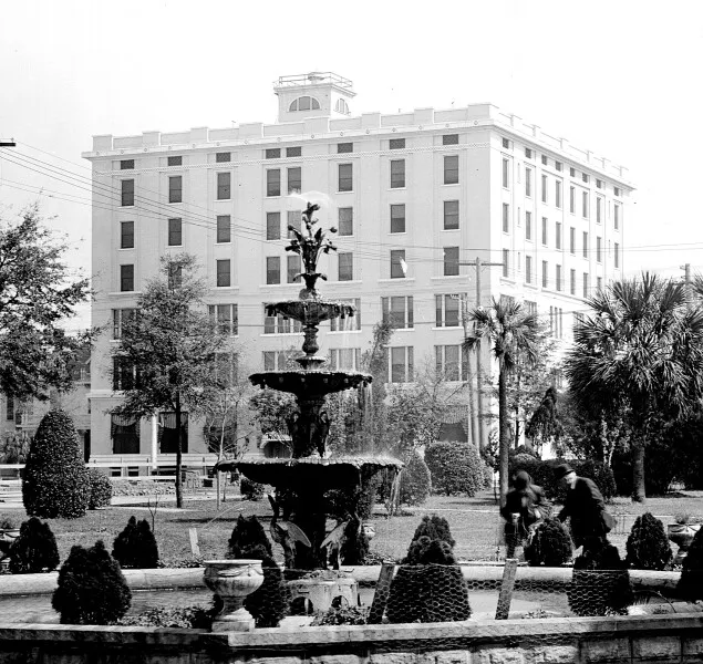 Photo 739-816-104