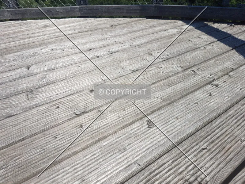 Photo 739-868-248