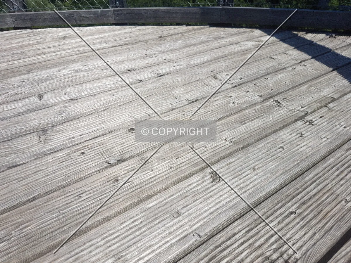 Photo 739-868-248