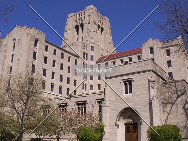 View from the southwest