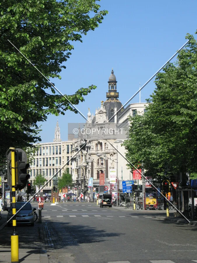 Looking west along Keizerslei