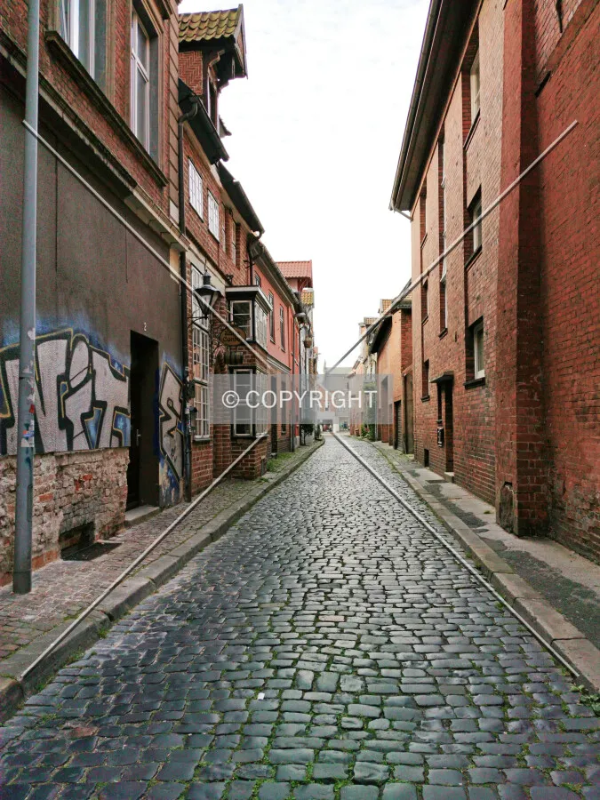 Photo 741-012-772