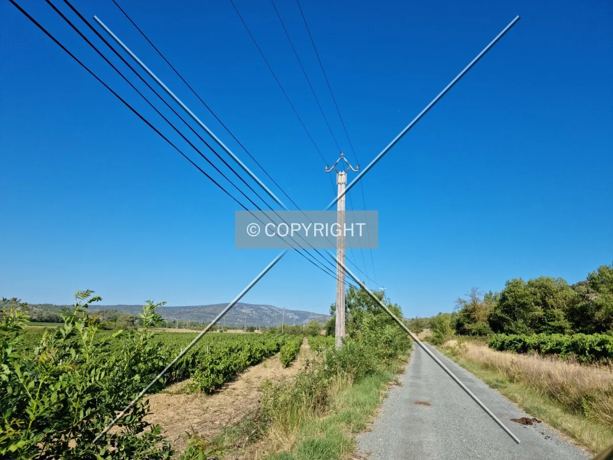 Photo 074-101-571