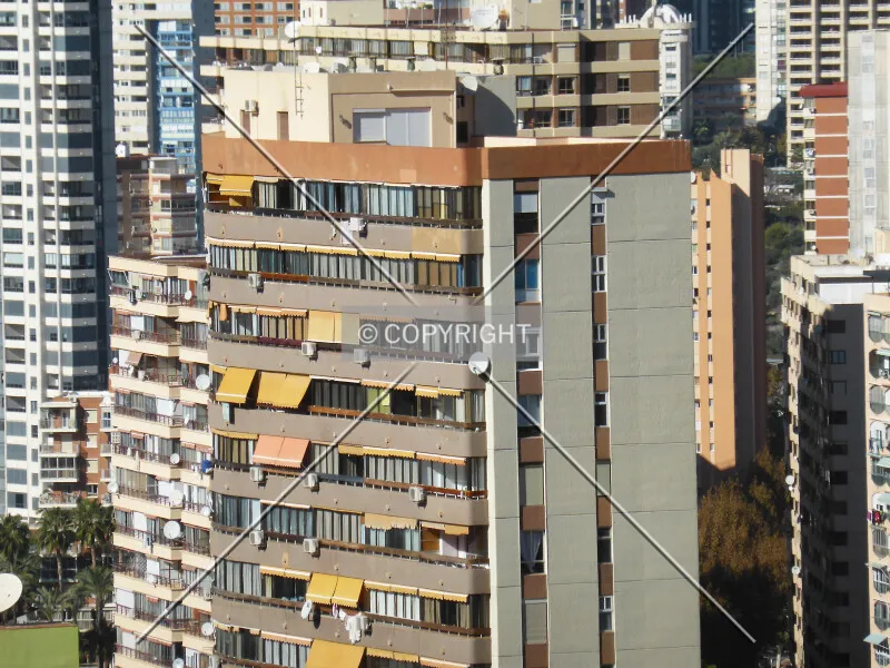 Photo 741-175-581