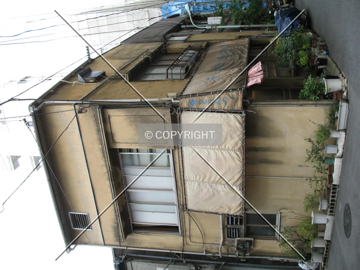 Photo 741-289-929