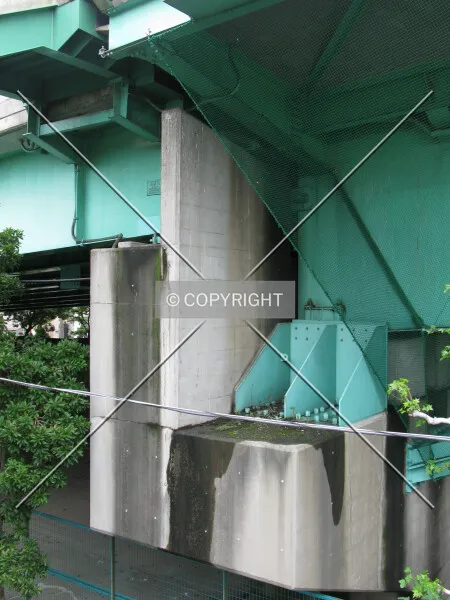 Photo 741-821-246
