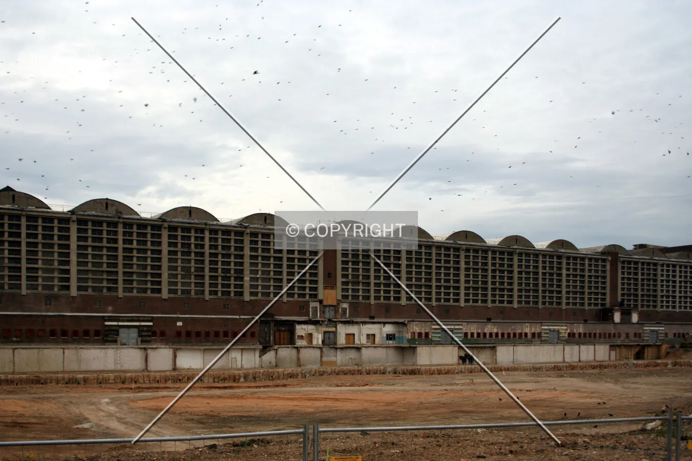 View from the south, with a flock of crows overhead