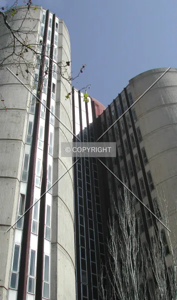 Photo 742-495-078