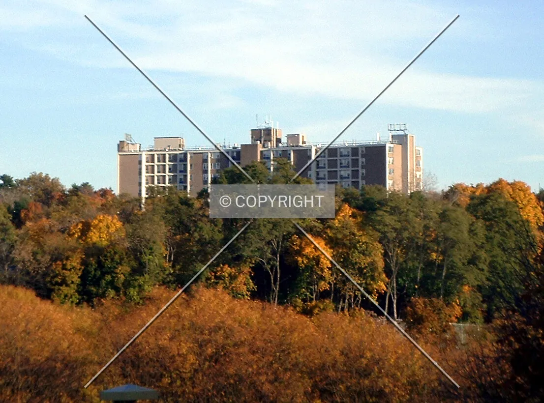 View from the northwest