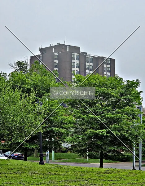 Photo 742-545-335