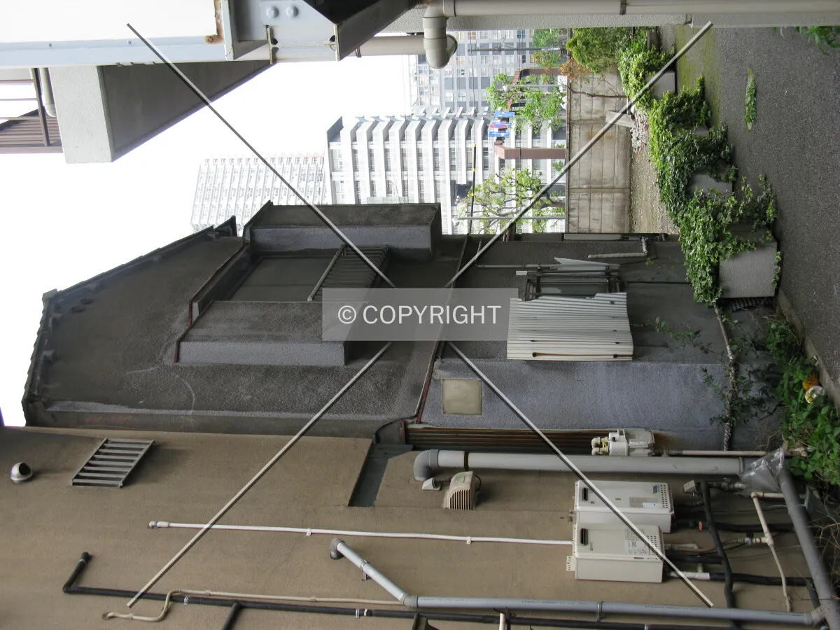 Photo 742-820-618