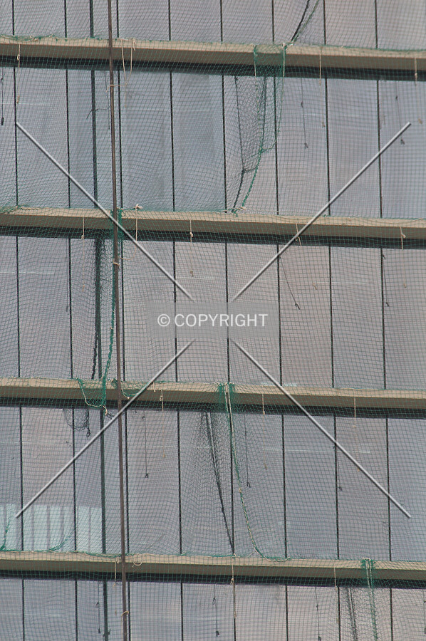 Photo 742-883-405