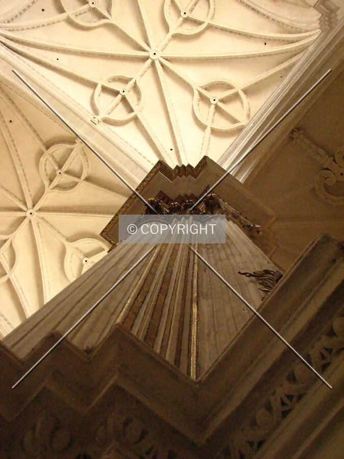 Column and vaults