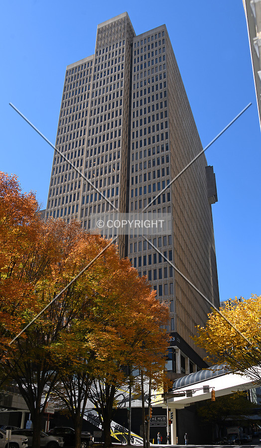 View from the northeast