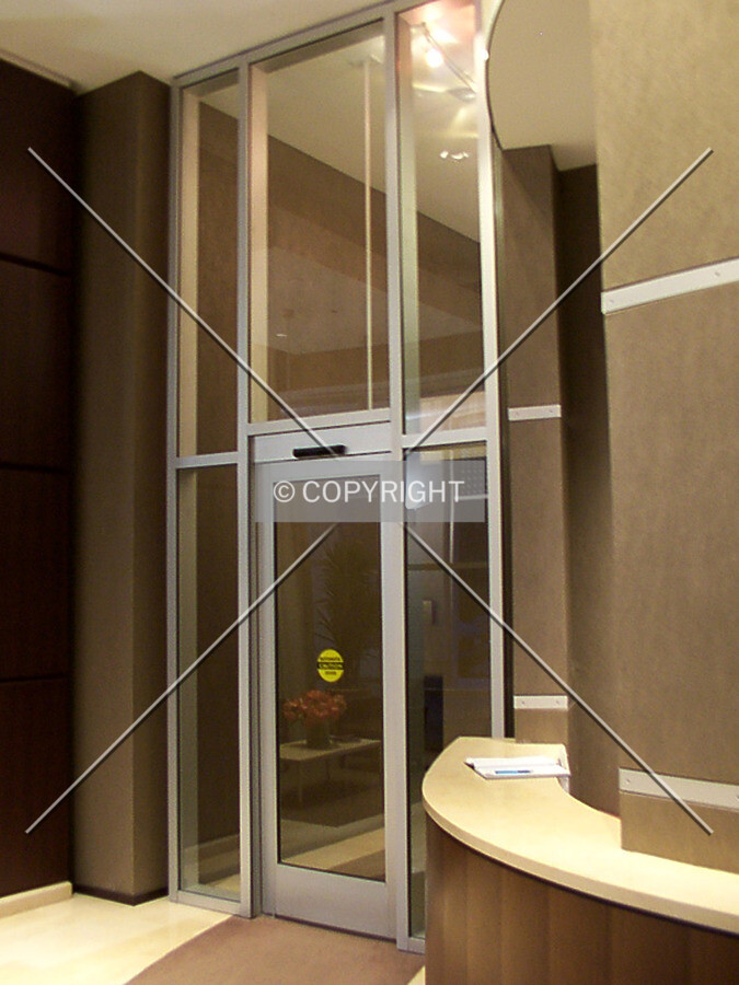 Security door