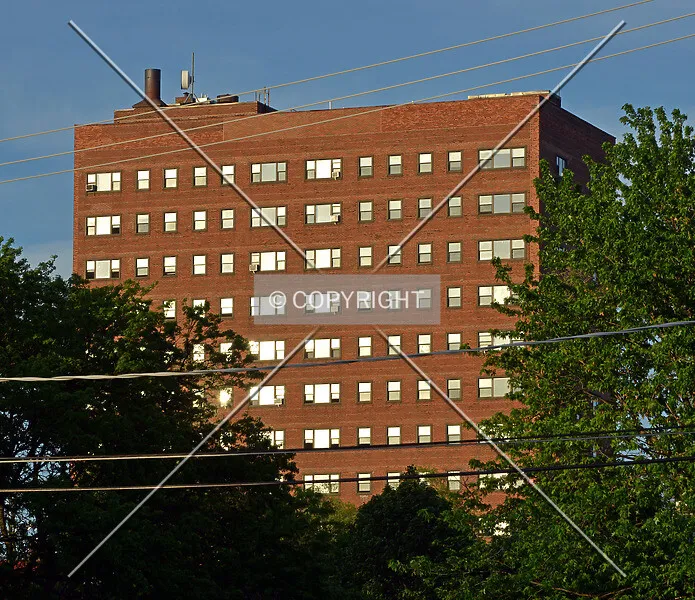 Photo 743-775-012