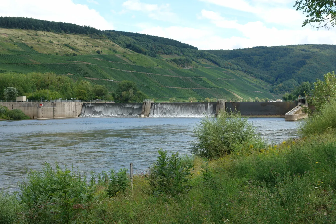 Photo 743-906-552