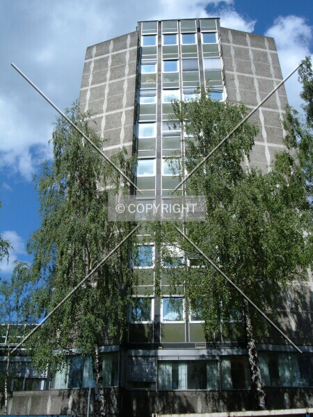 Photo 743-977-445