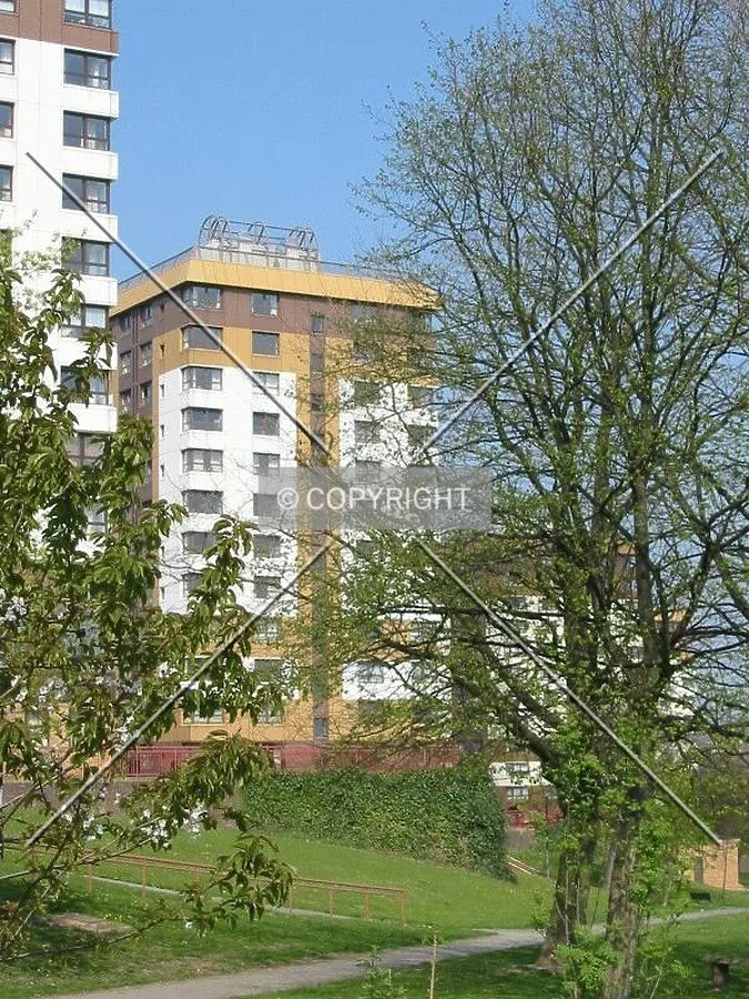 View through the trees in a neighbouring park