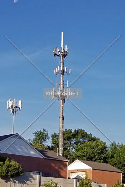 Photo 744-113-954