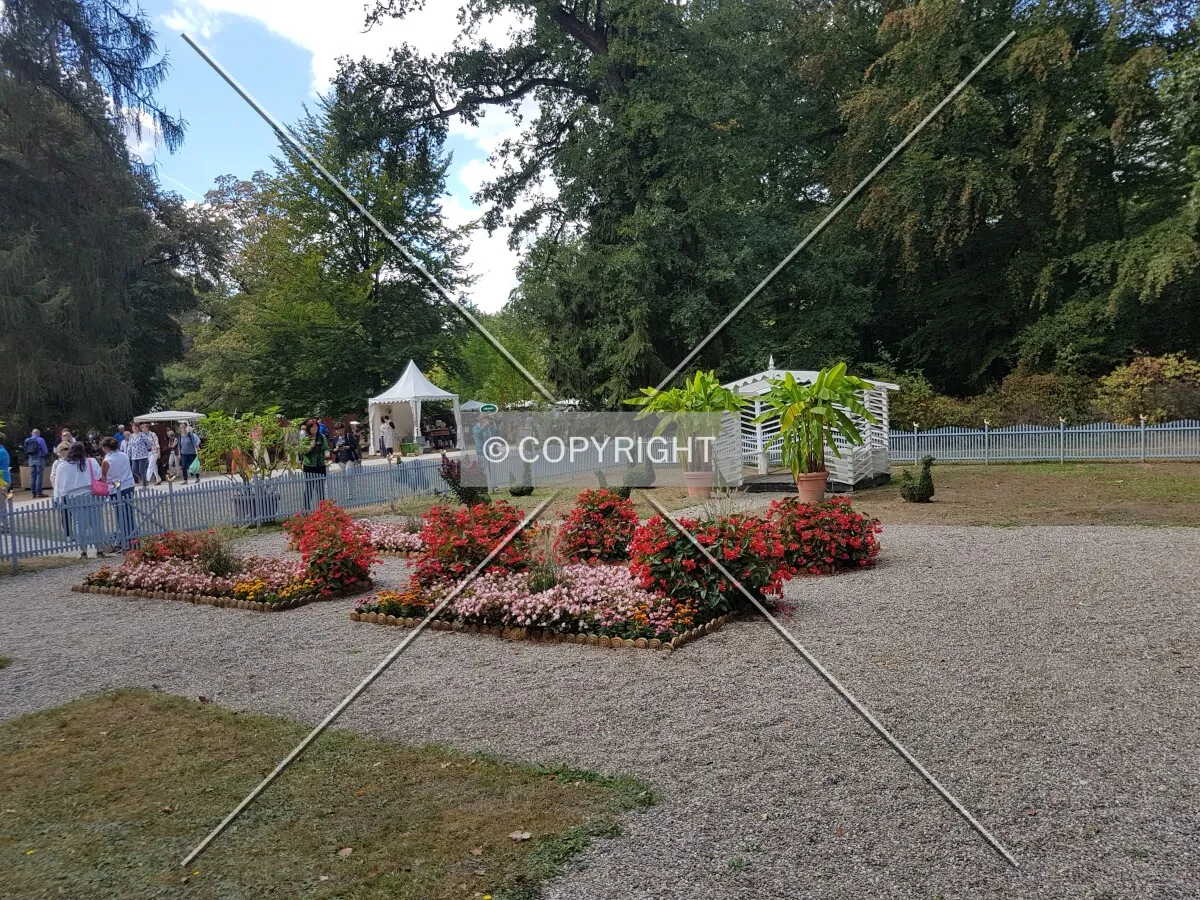 Schloß Wolfsgarten in 2018