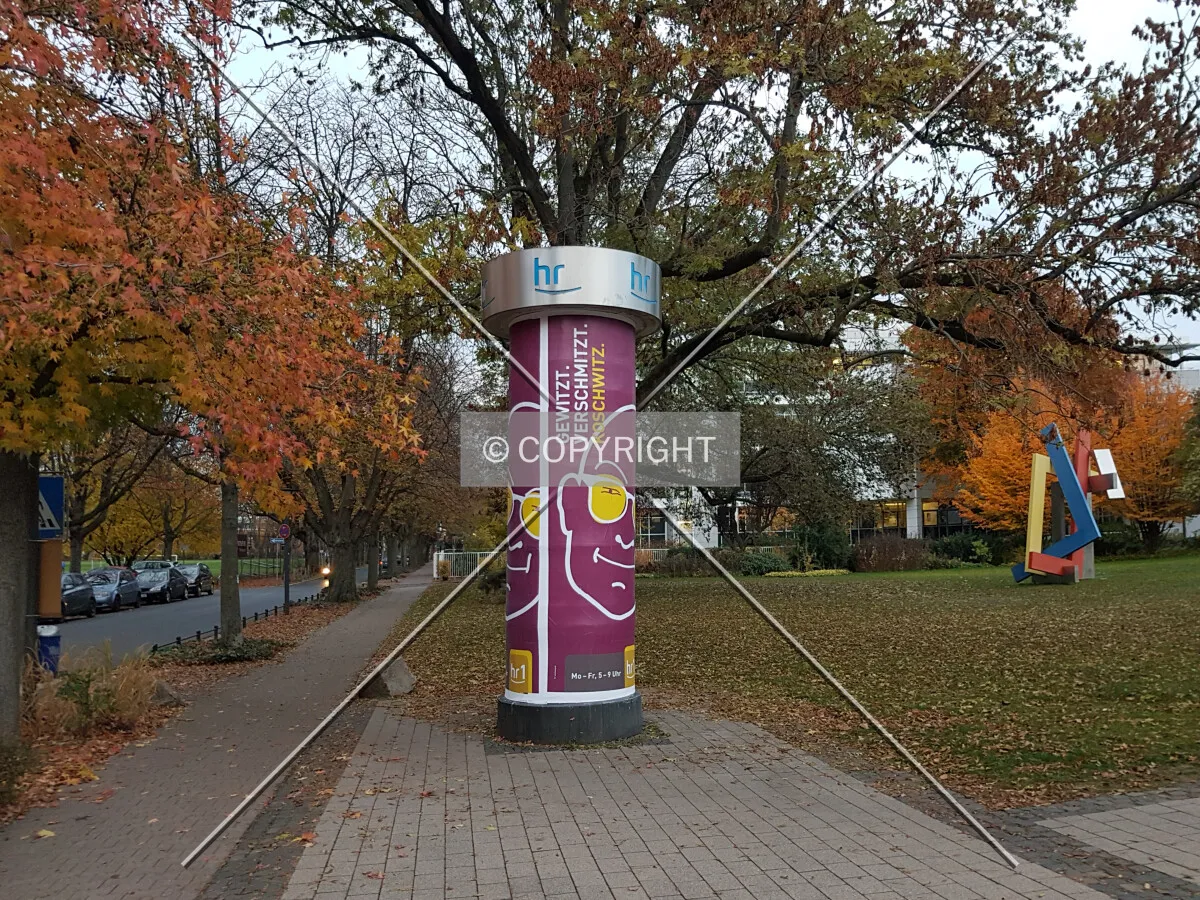 Advertising column