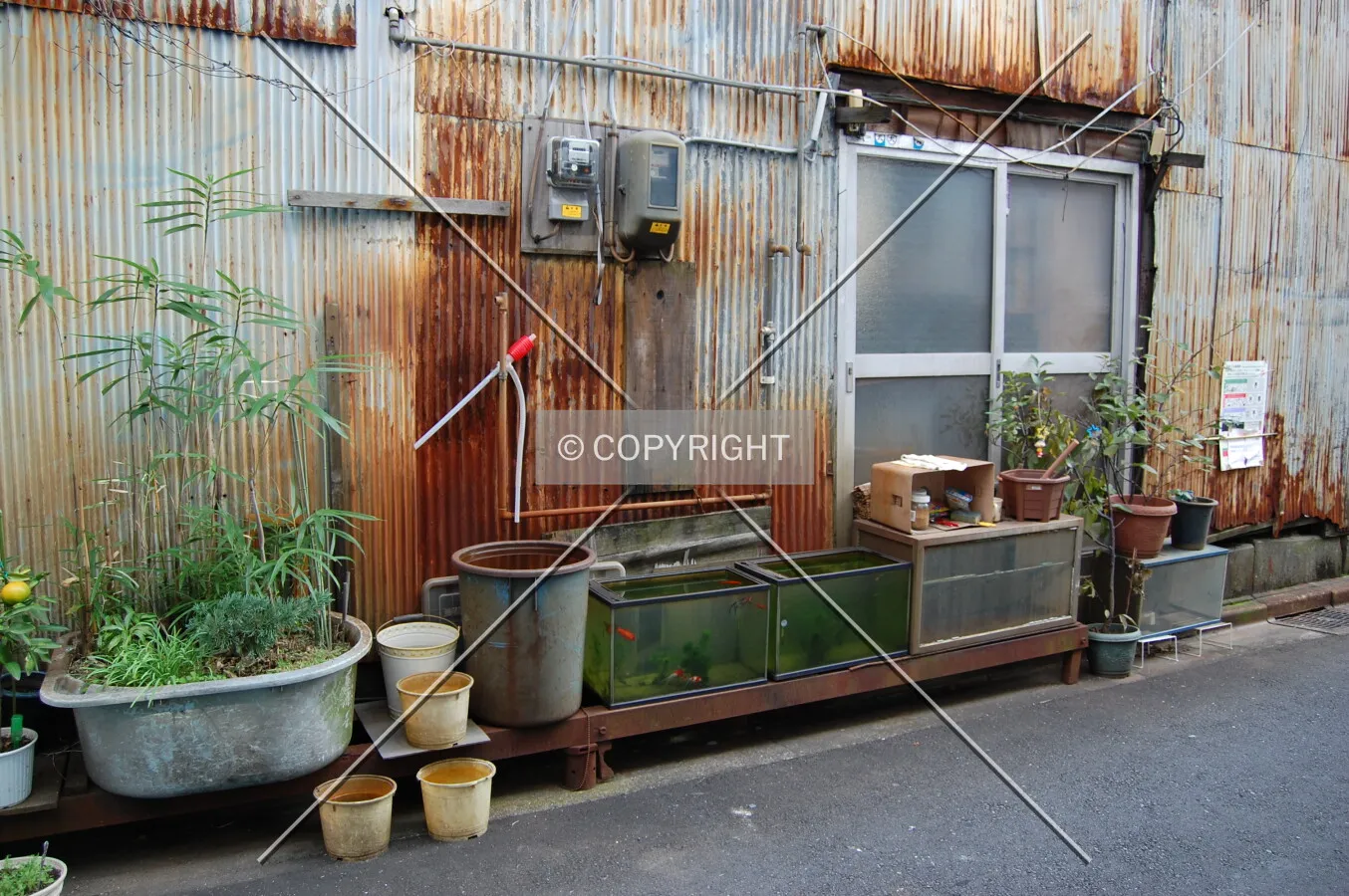 Photo 744-827-602