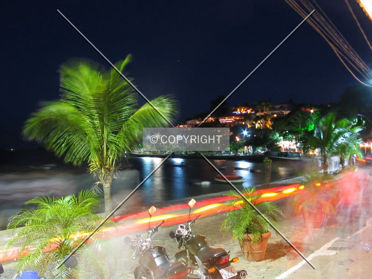 Orla Bardot at night