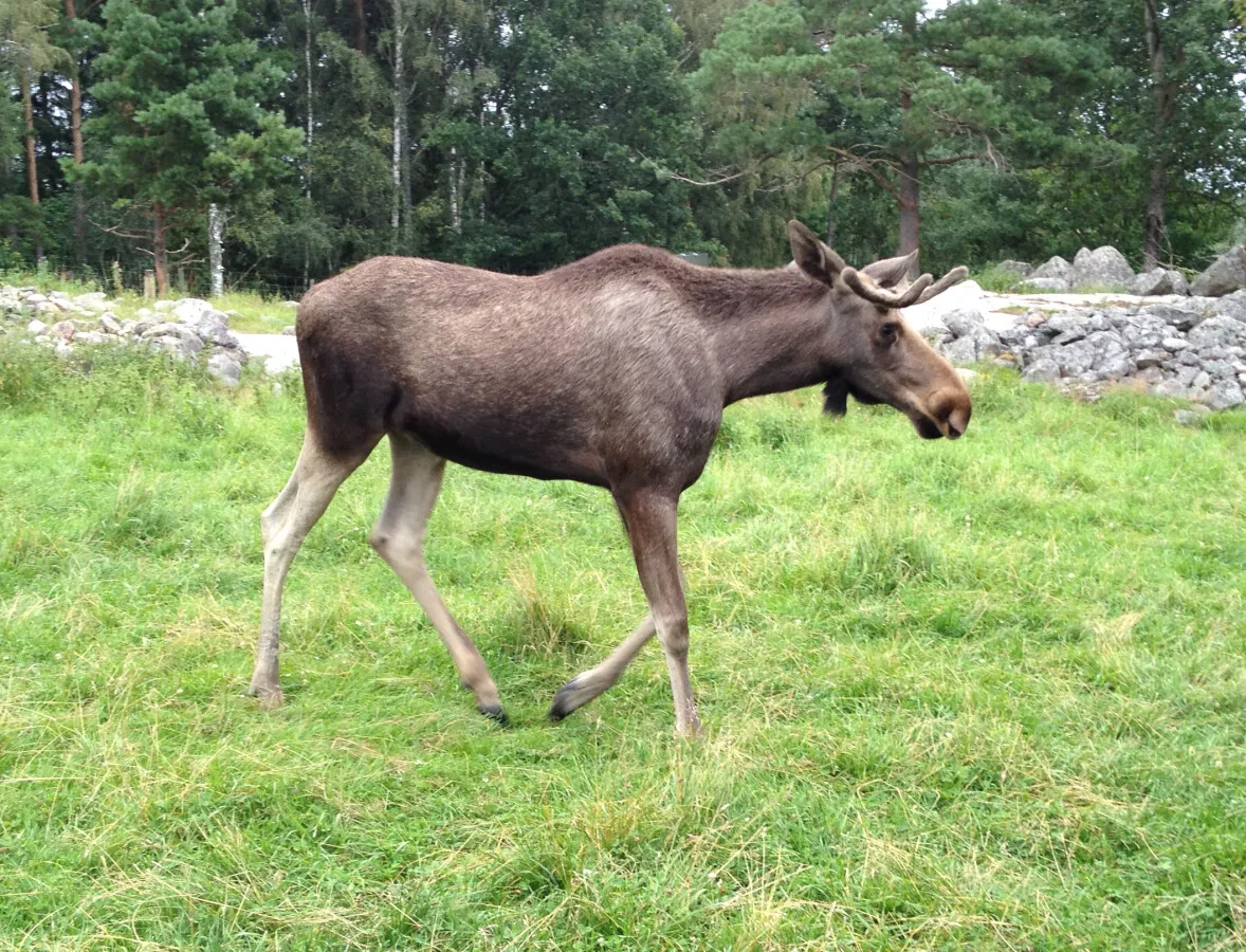 Photo 074-574-973